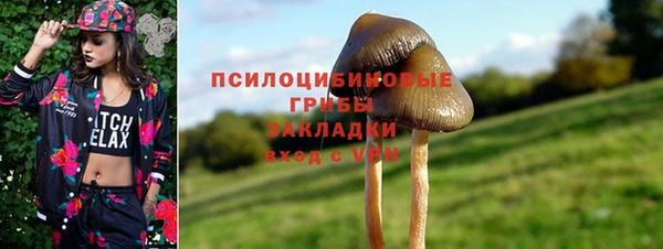 ALPHA PVP Богородицк