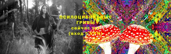 ALPHA PVP Богородицк