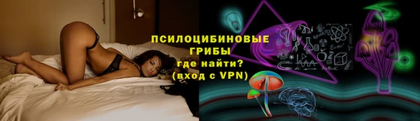 дурь Богданович