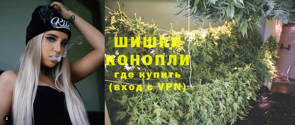 ALPHA PVP Богородицк