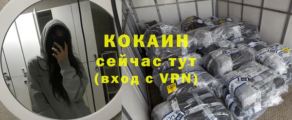 дурь Богданович