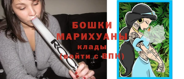 дурь Богданович