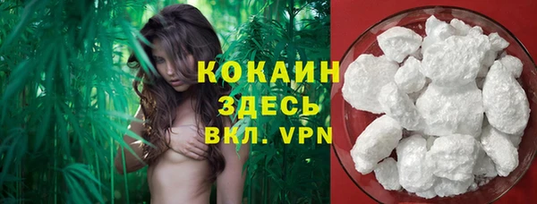 ALPHA PVP Богородицк